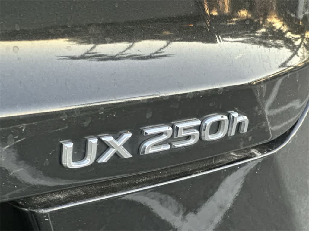 Thumbnail: 2023 Lexus UX - 10