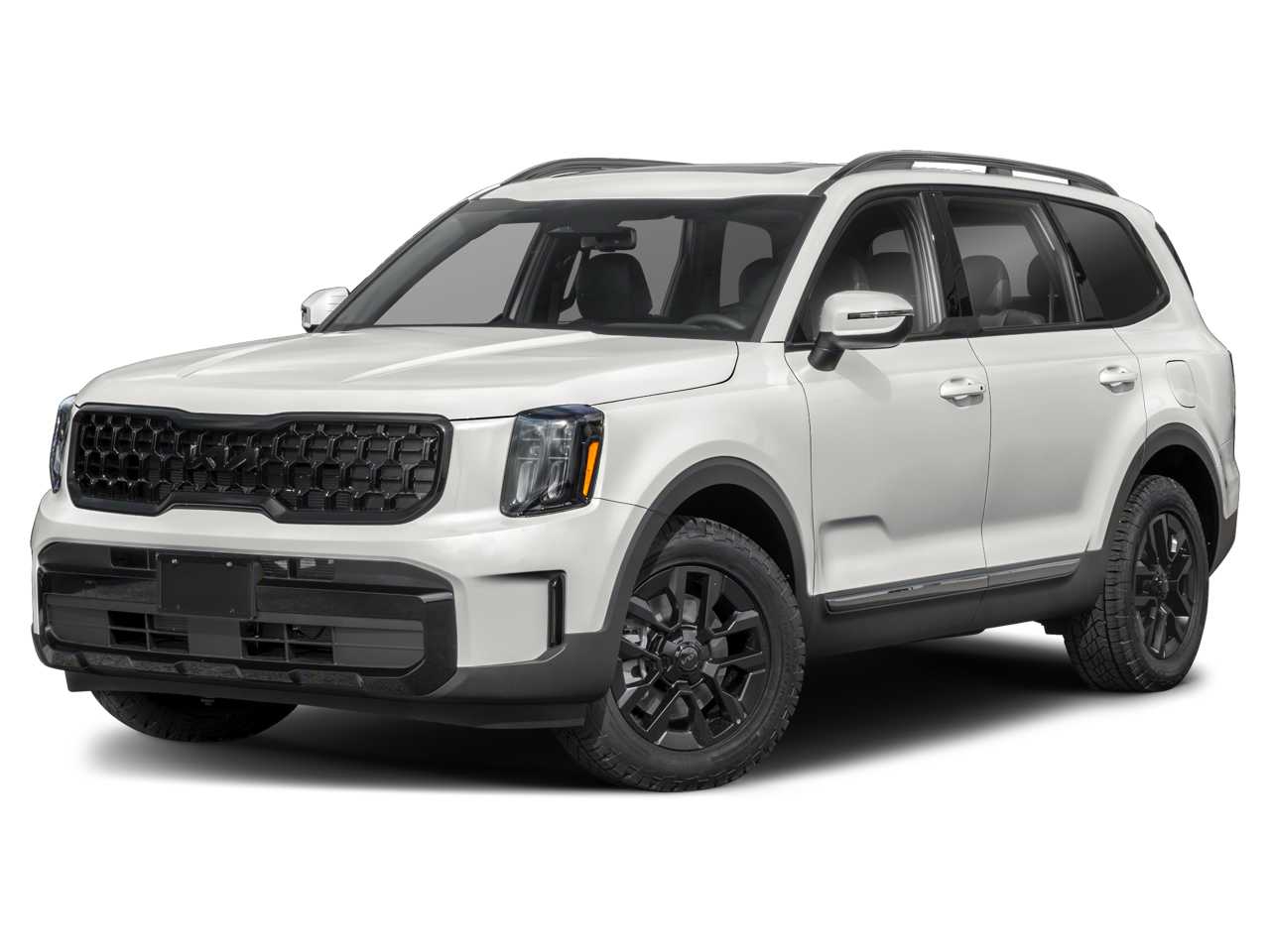 2025 Kia Telluride EX Hero Image