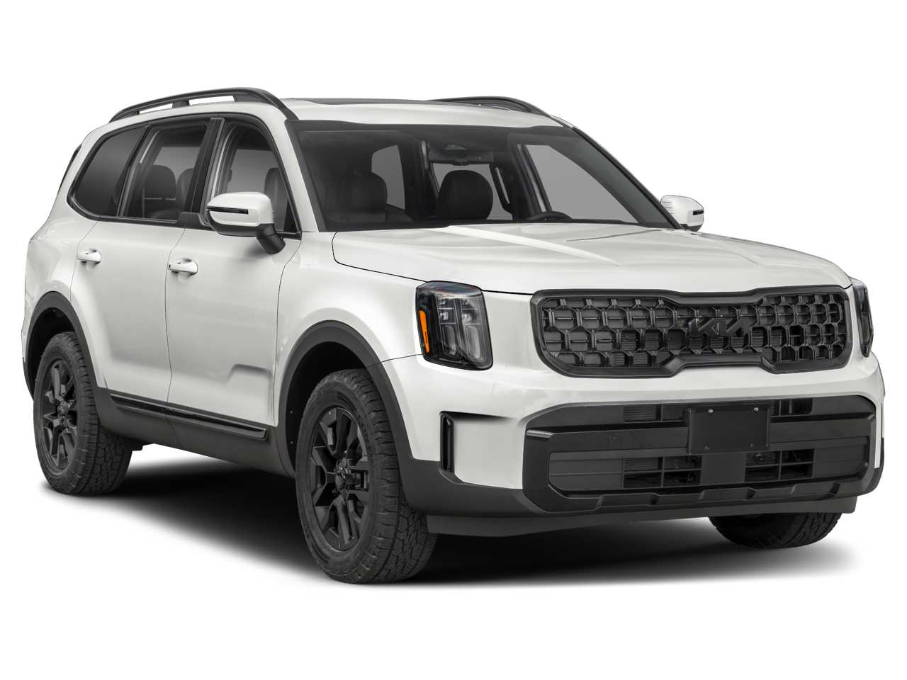 2025 Kia Telluride EX 6