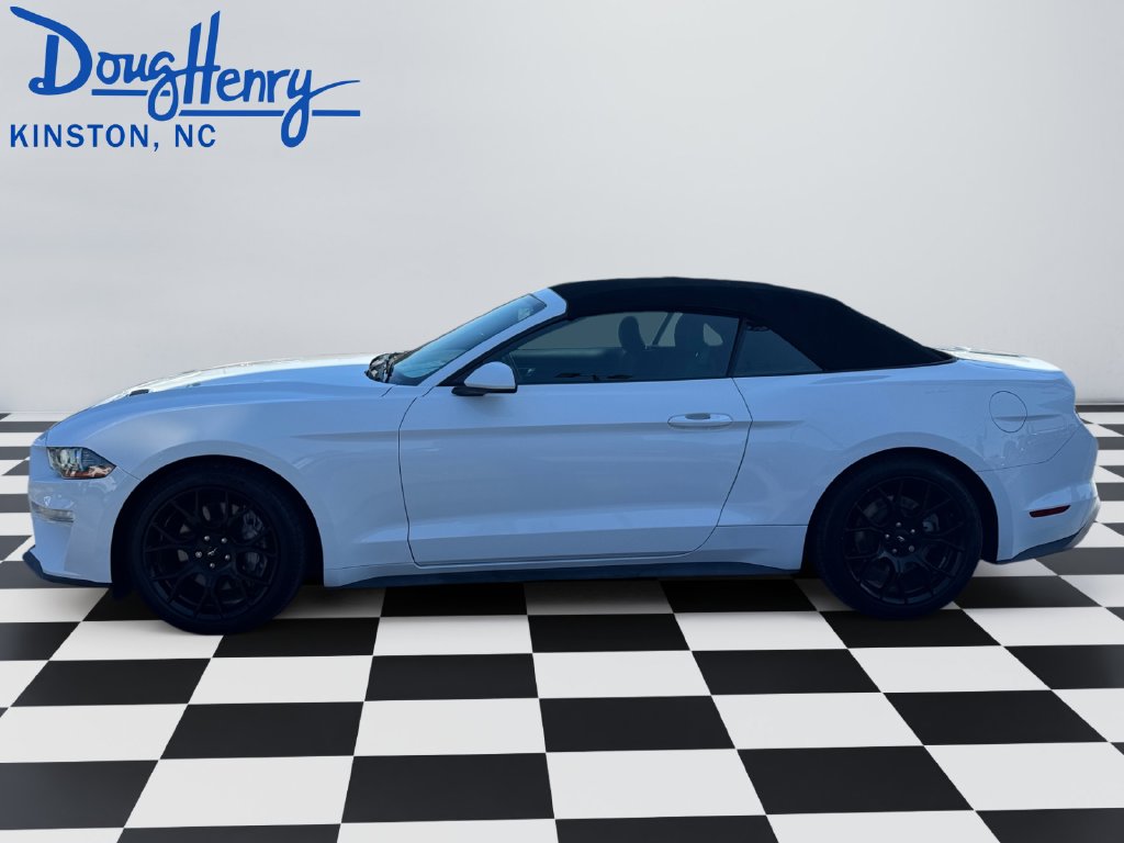 Used 2019 Ford Mustang EcoBoost with VIN 1FATP8UH5K5105538 for sale in Ayden, NC