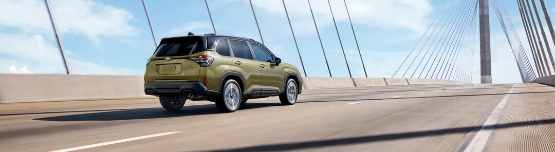 forester hyb 5