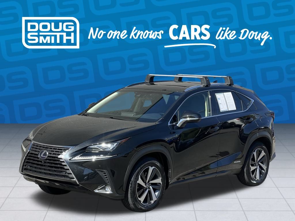 2018 Lexus NX 300h's photo