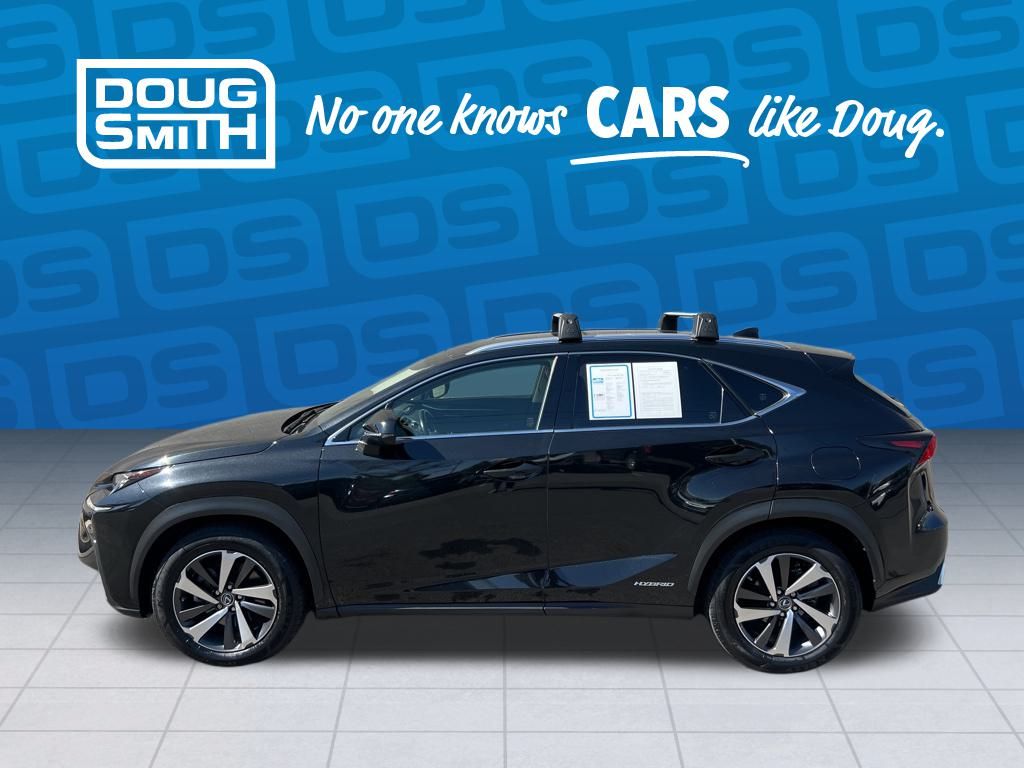 2018 Lexus NX 300h Luxury photo 2