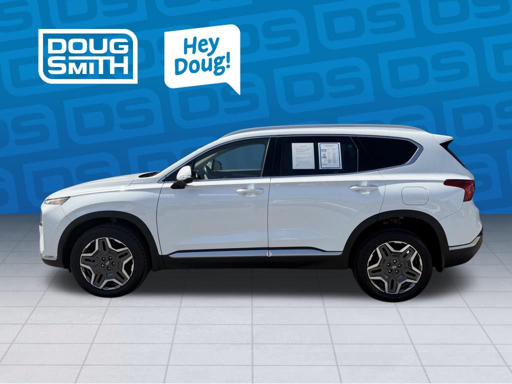 5NMS5DA17PH001696