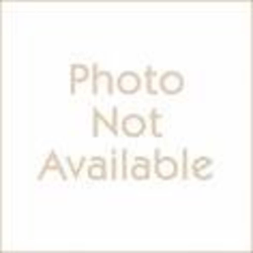 New 2026 Chevrolet Trailblazer LT SUV