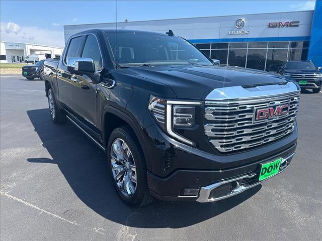 2023 Gmc Sierra 1500 Denali photo 2