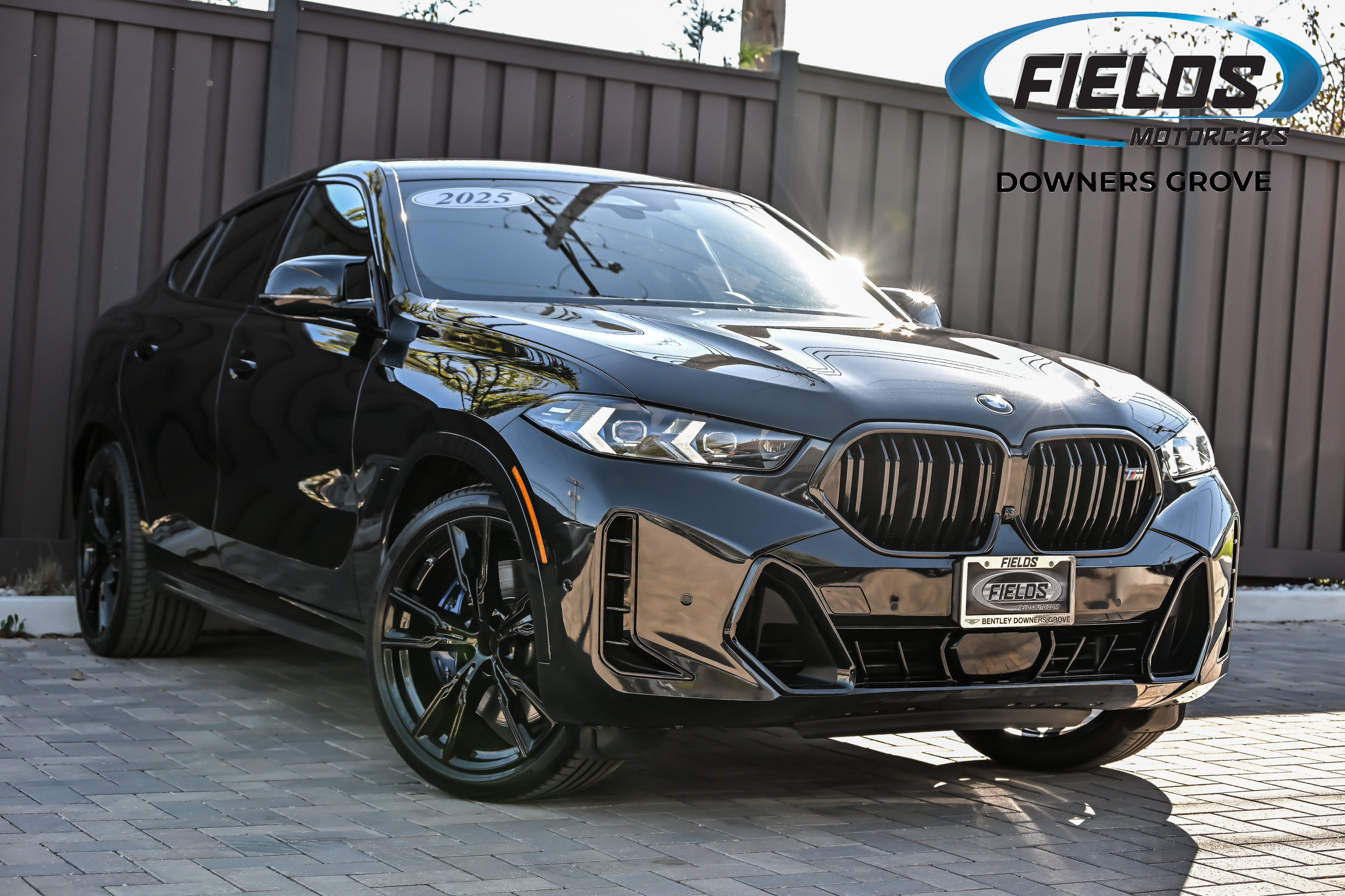 2024 BMW X6