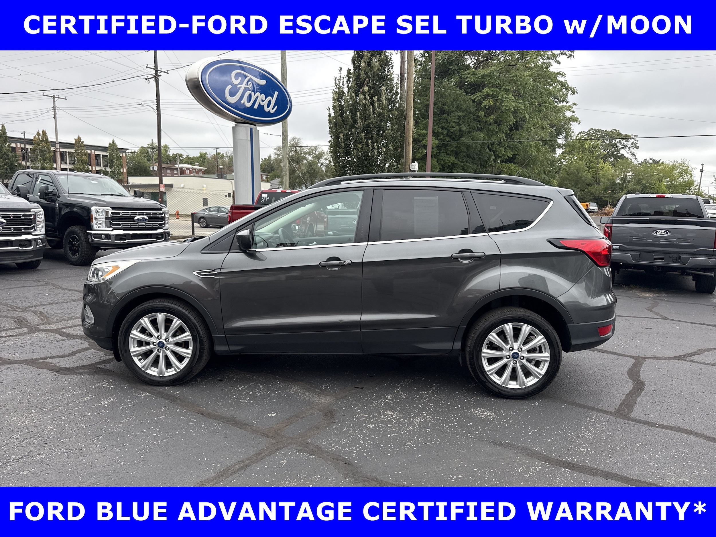 2019 Ford Escape