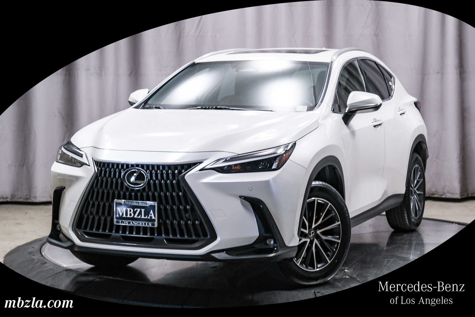 2025 Lexus NX 250