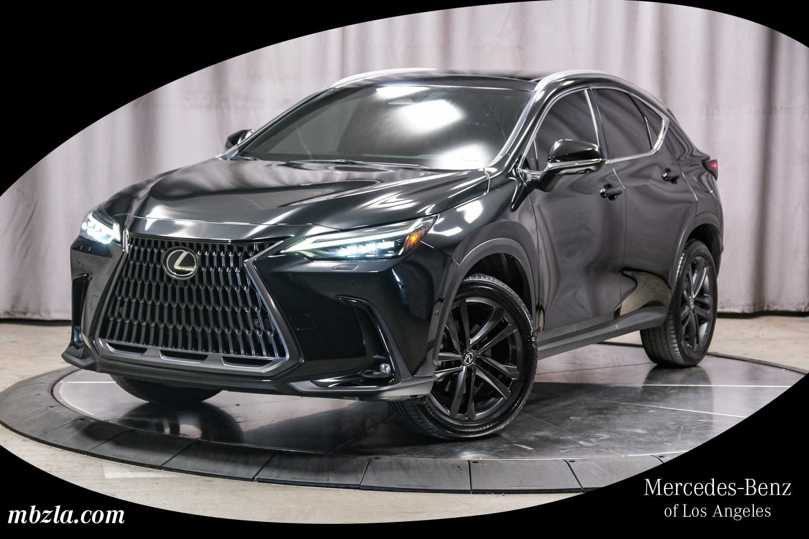 2025 Lexus NX PHEV