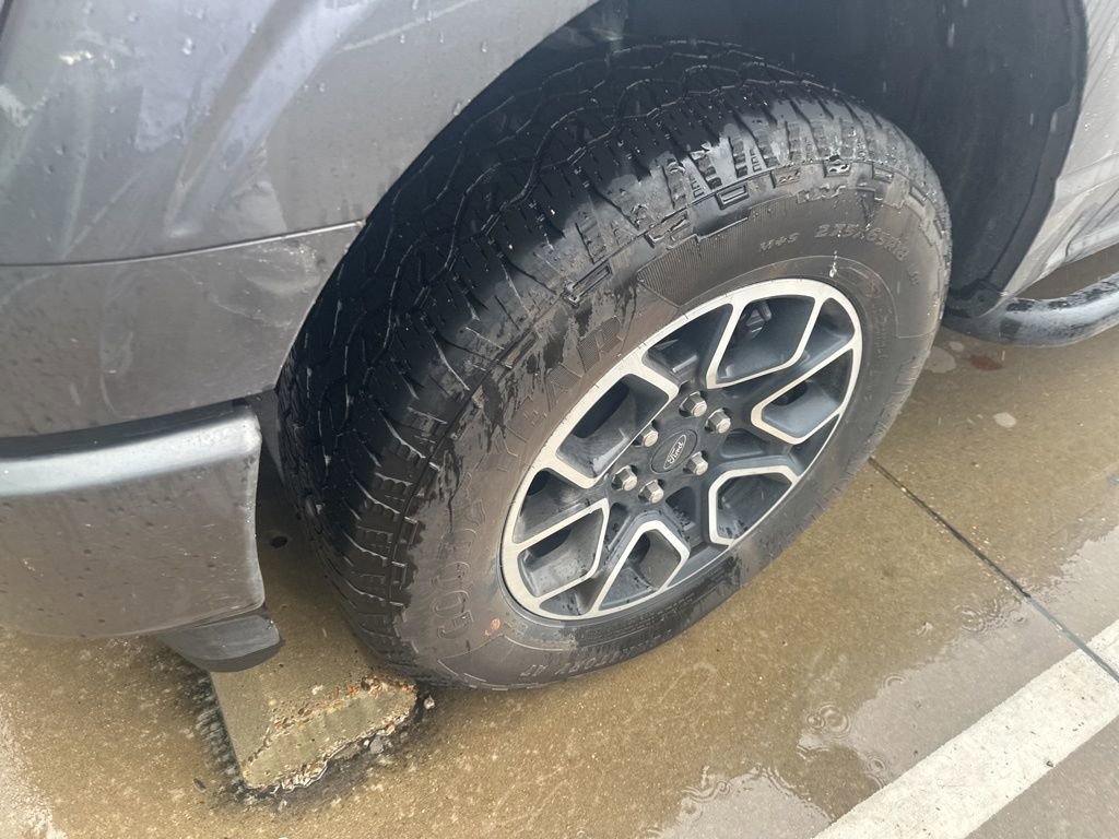 2023 Ford F-150 XL photo 3