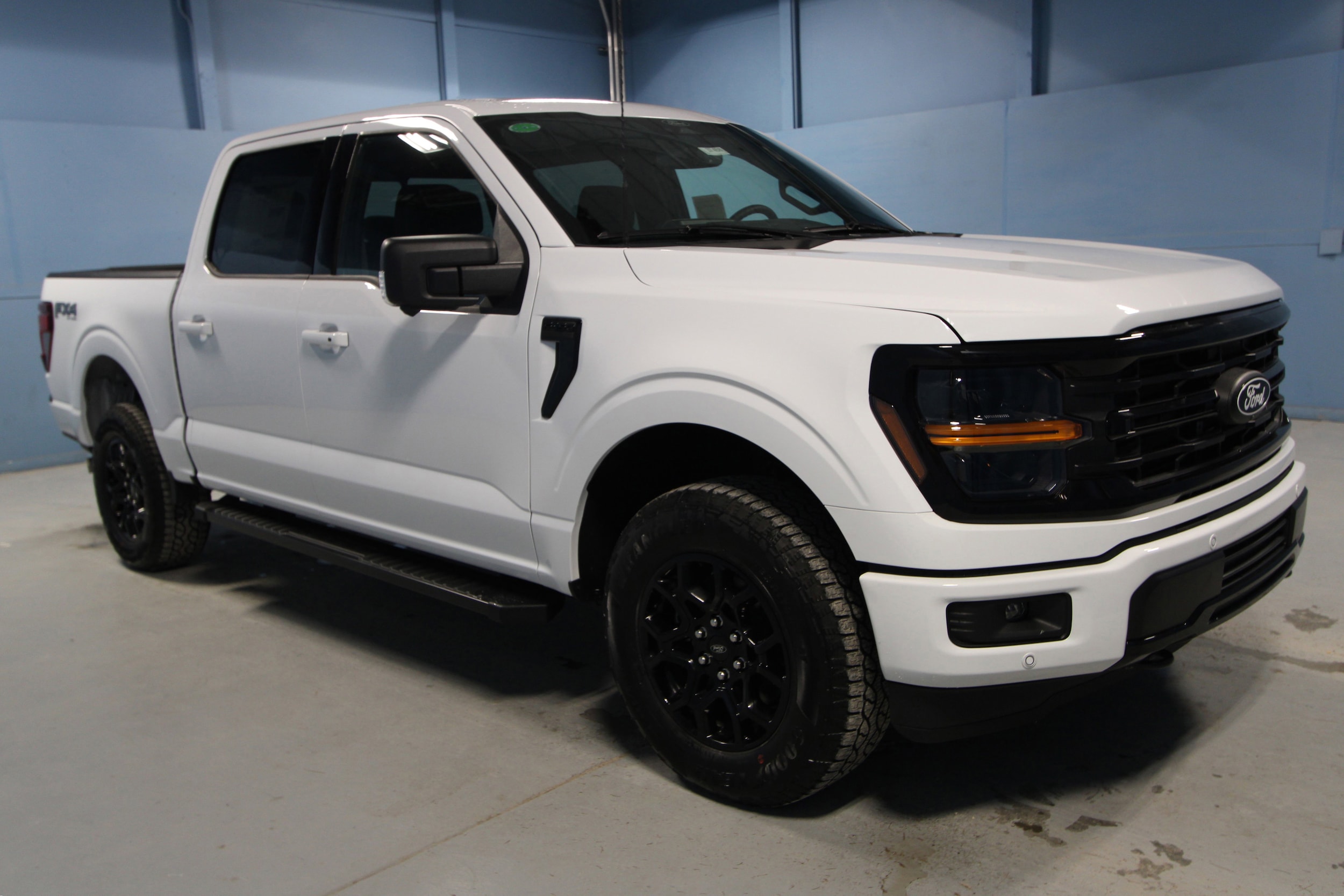 2025 Ford F-150 XLT's photo