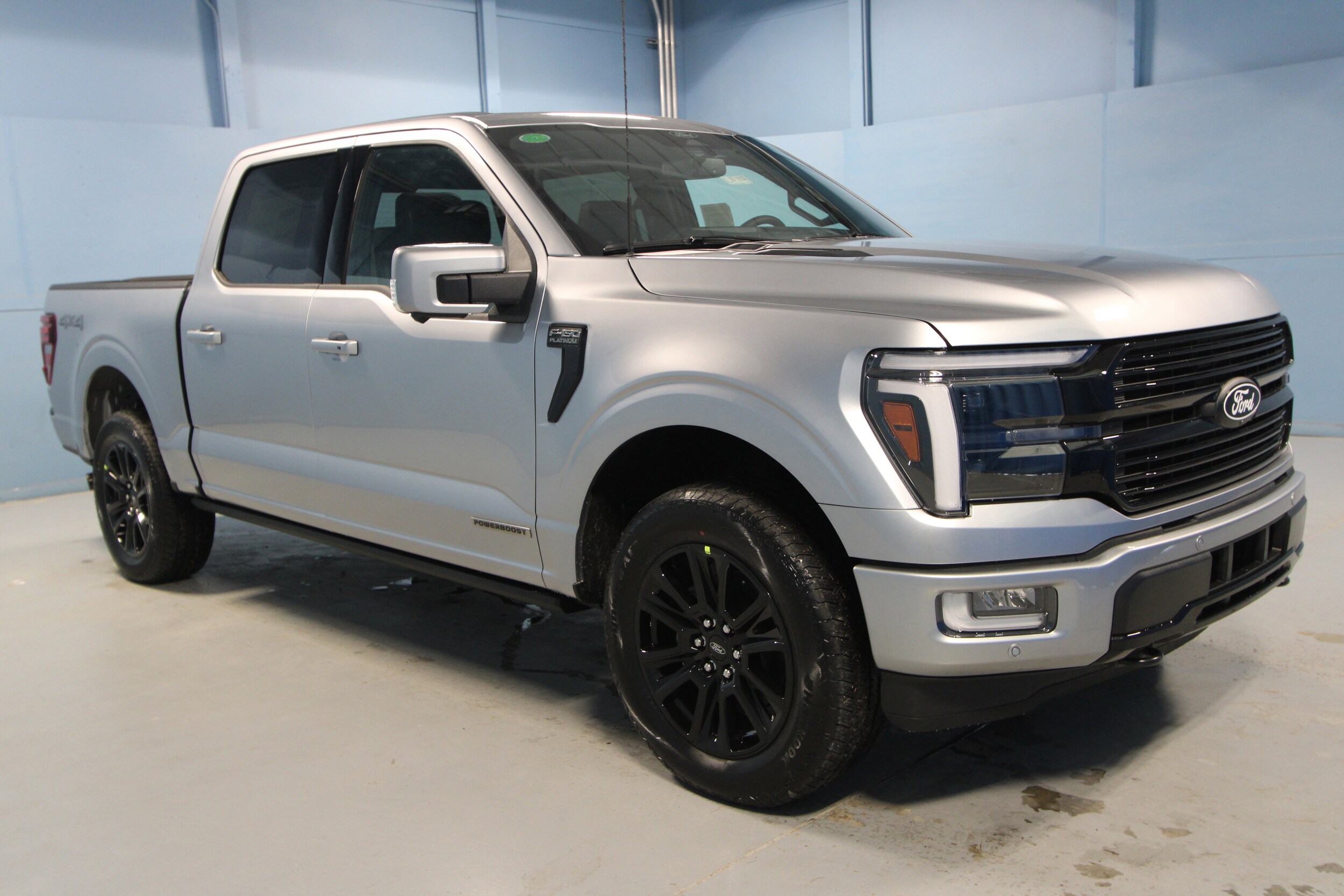 2025 Ford F-150 Platinum photo 2
