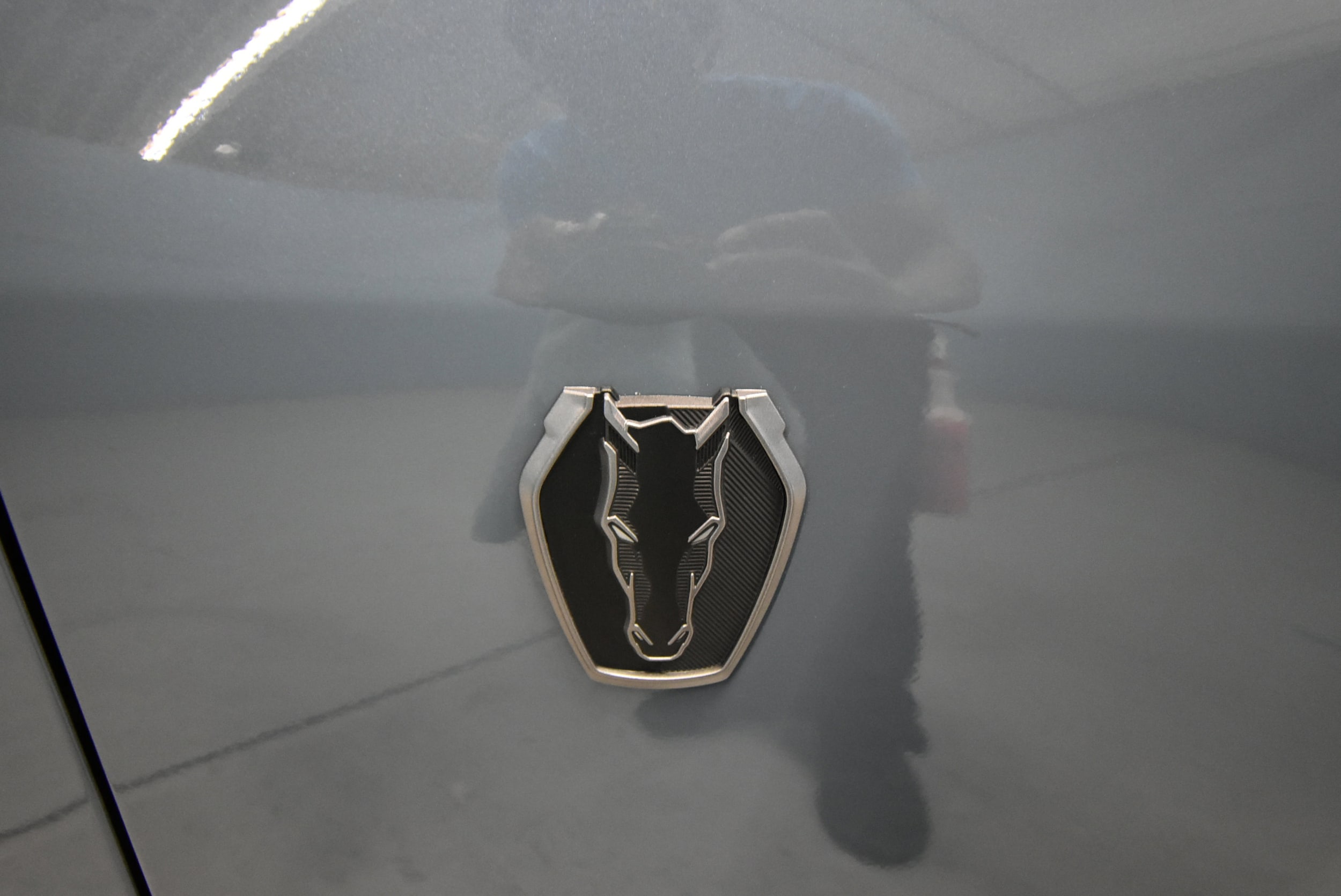 2025 Ford Mustang Dark Horse - Photo 33