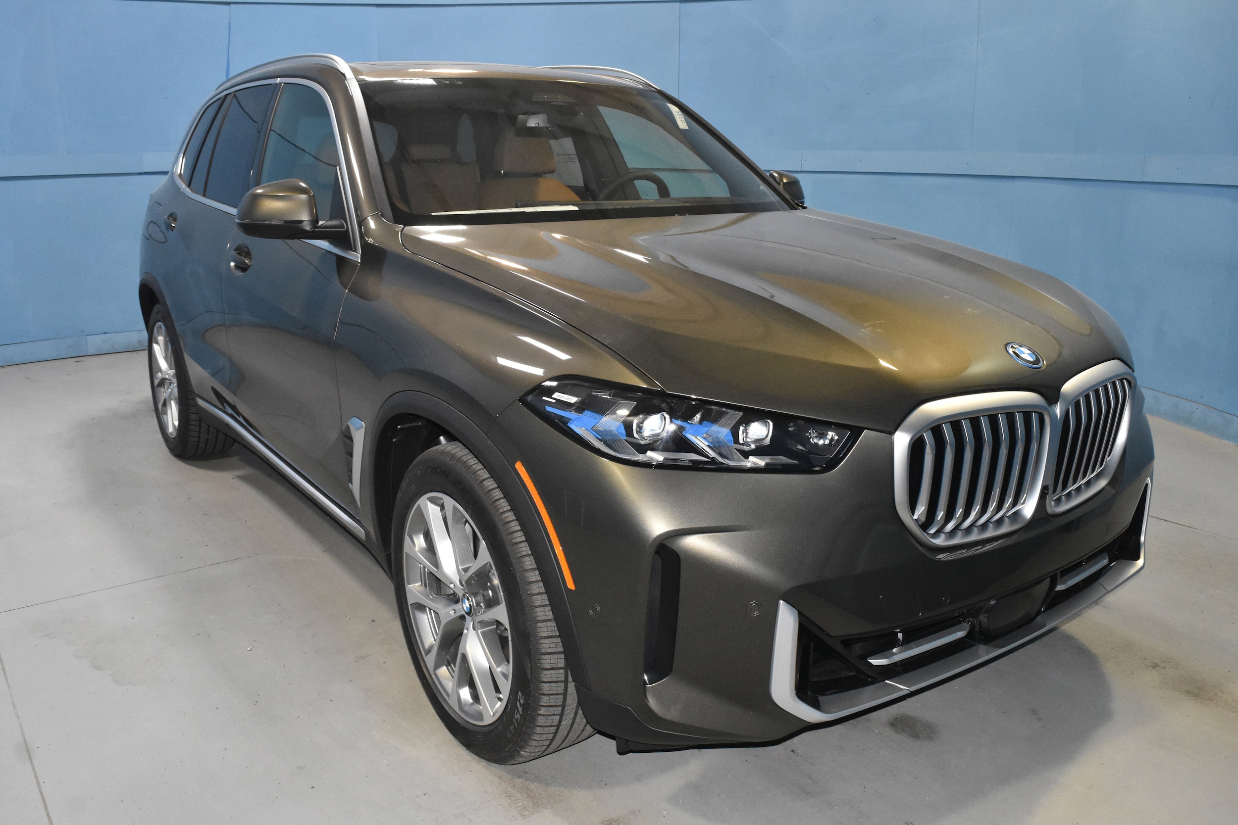 2026 BMW X5 xDrive50e's photo