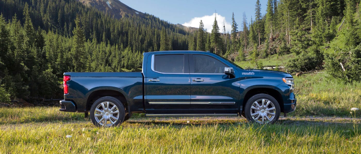 2026 Chevy Silverado 1500 in Forest