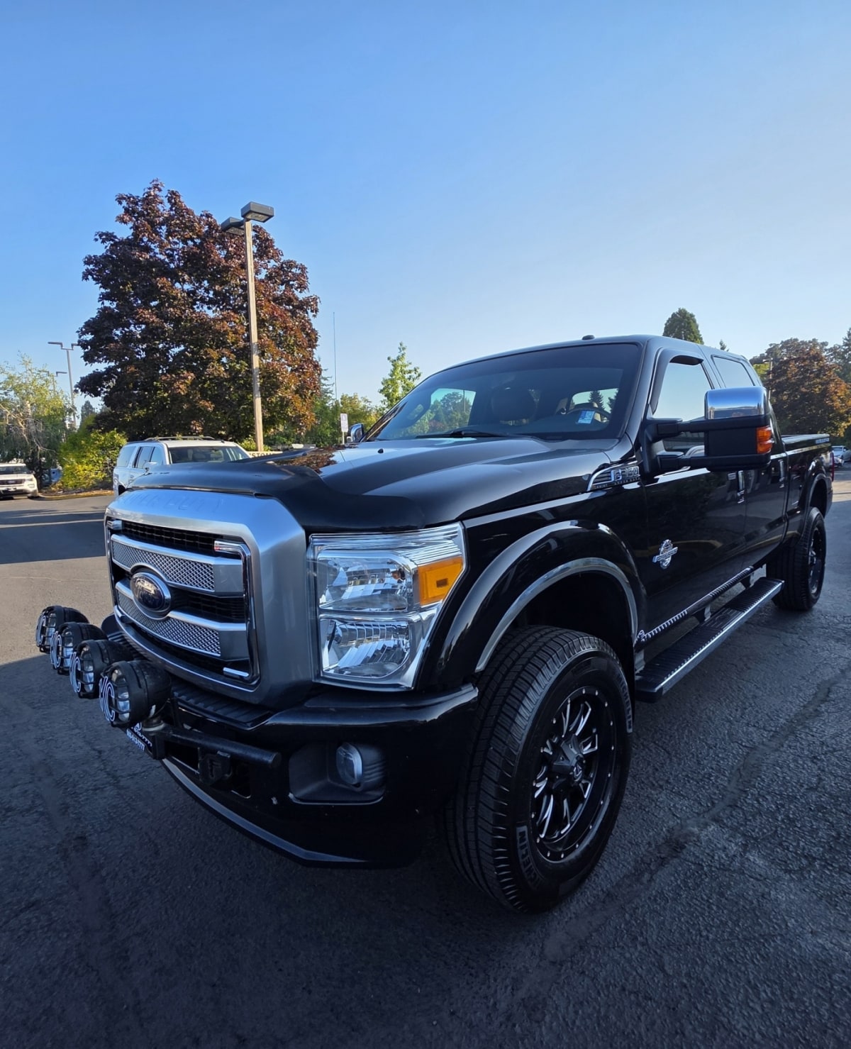 2014 Ford F-350 Super Duty Platinum's photo