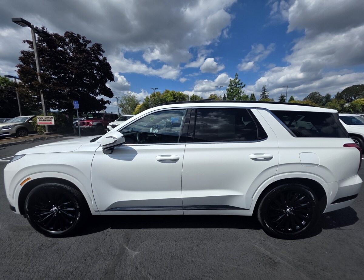2024 Hyundai Palisade Calligraphy photo 2