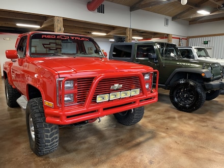 1981 Chevrolet 1500 Pickup Truck