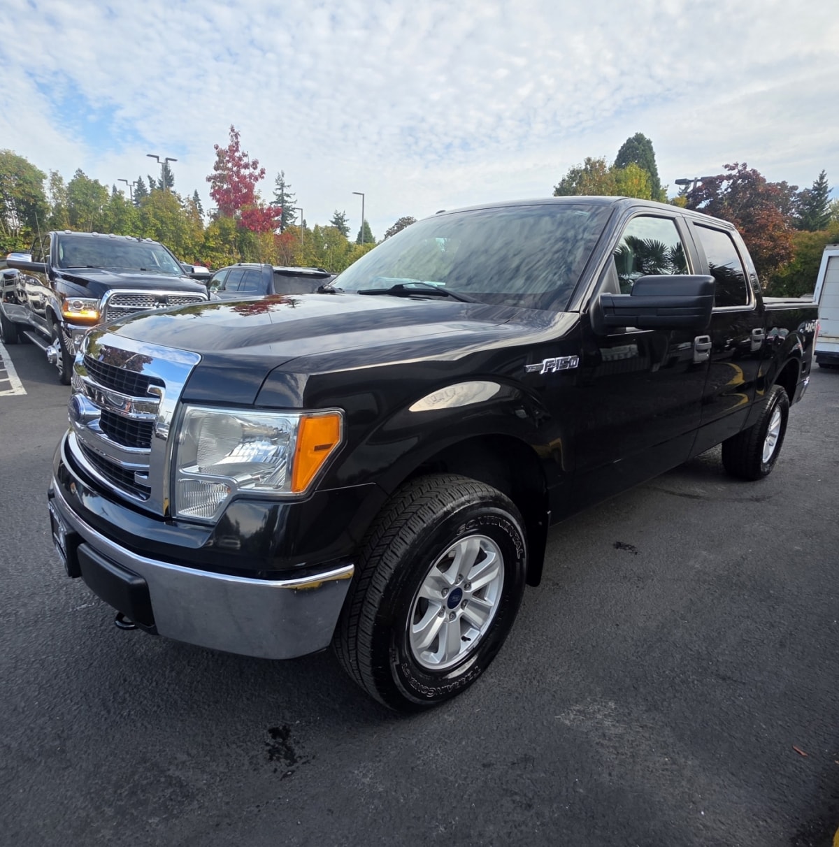 2013 Ford F-150 XLT's photo