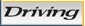 DrivingLogo.jpg