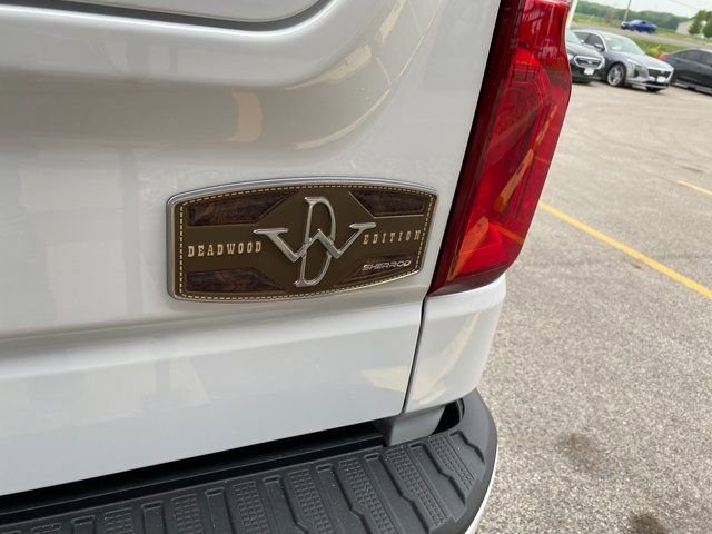 2025 Chevrolet Silverado 1500 RST - Photo 37