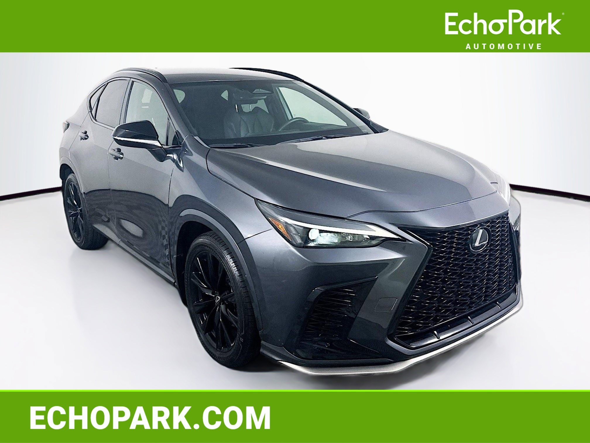 2022 Lexus NX 350's photo