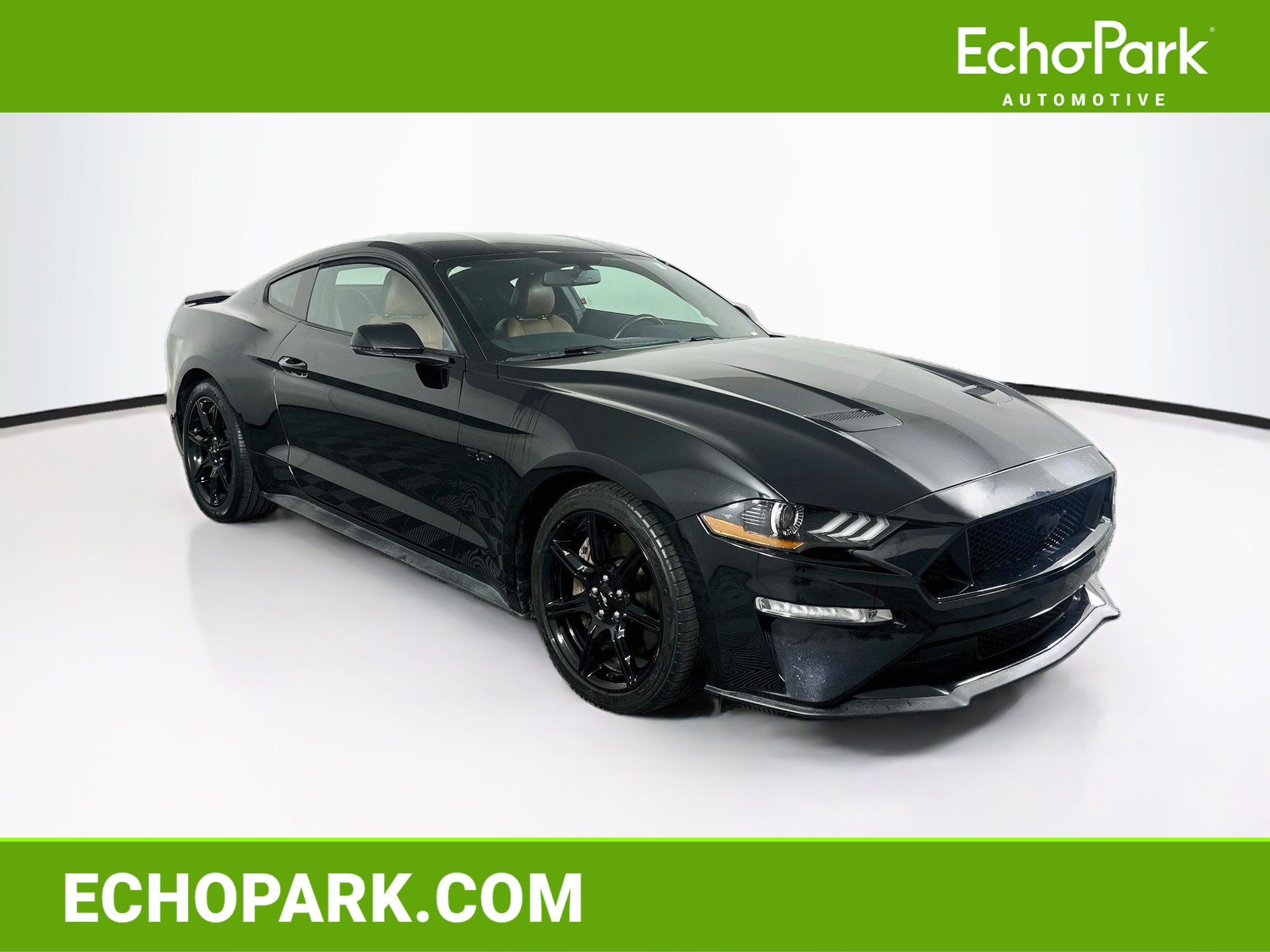Used 2019 Ford Mustang GT Premium GT Premium Fastback