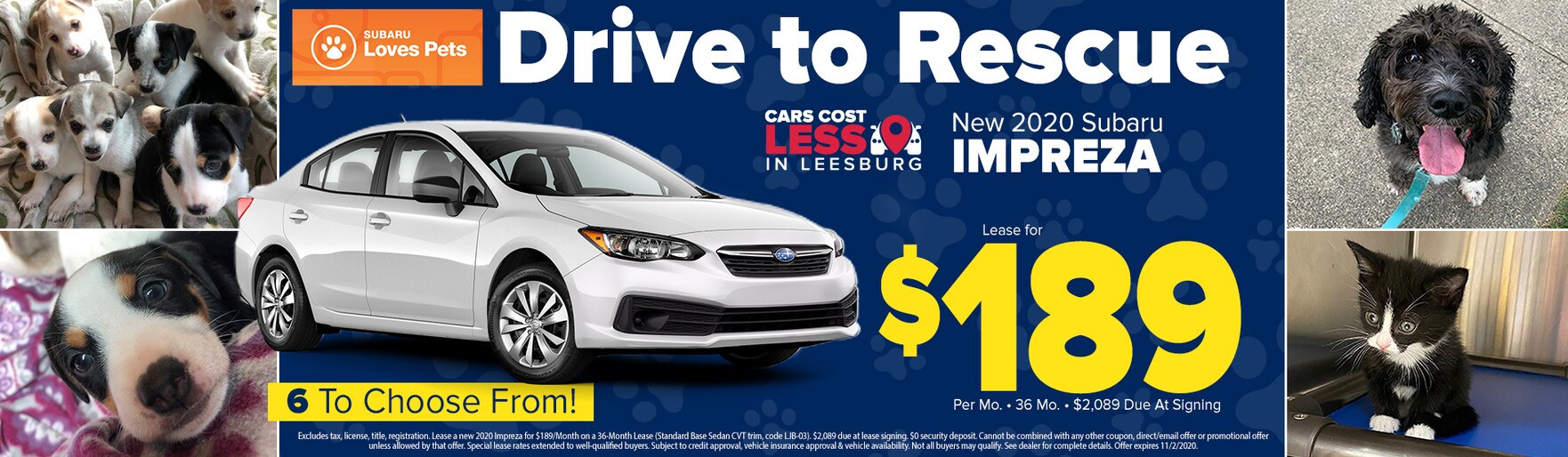 New and Used Jeep, RAM, Kia, Subaru and Chrysler dealership in Leesburg Dulles Motorcars