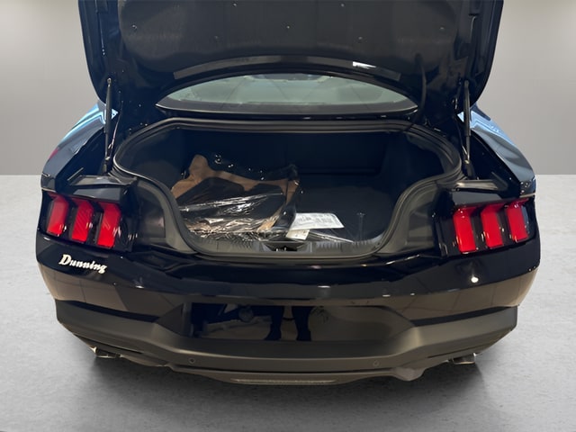 2026 Ford Mustang EcoBoost Premium Fastback - Photo 21