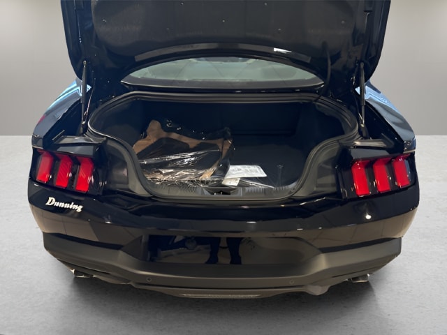 2026 Ford Mustang EcoBoost Premium Fastback - Photo 21
