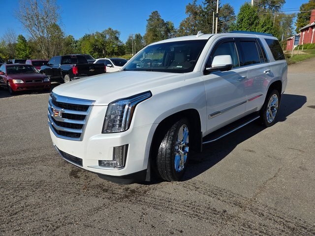 2016 Cadillac Escalade Luxury photo 3