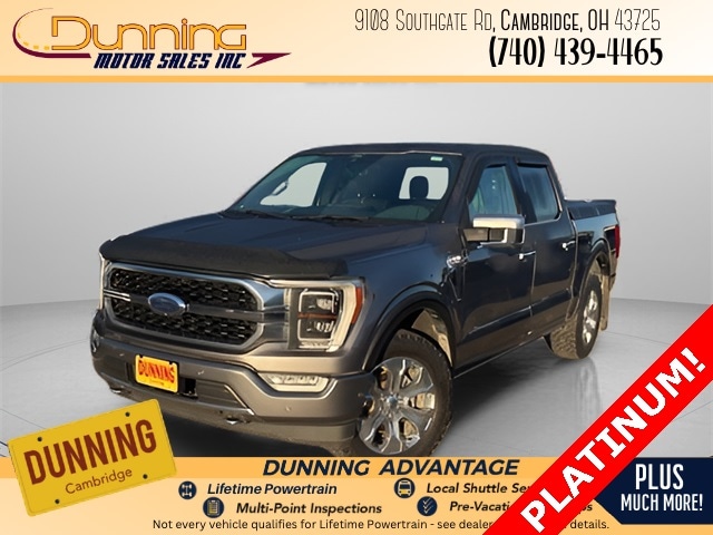 2021 Ford F-150 Platinum's photo