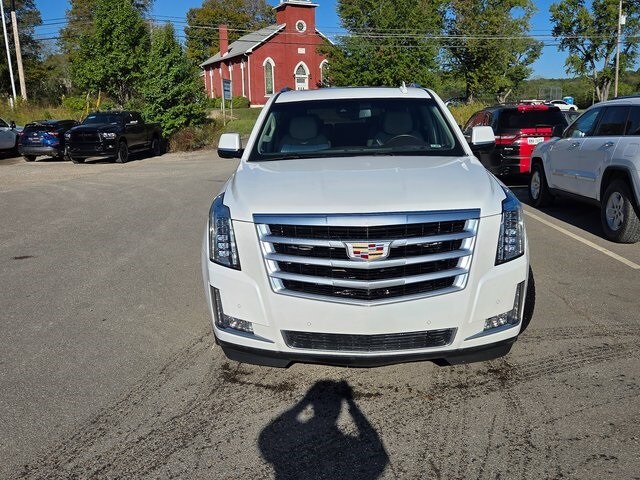 2016 Cadillac Escalade Luxury photo 2