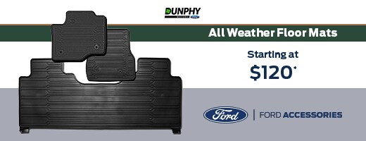Floor Mats 2018