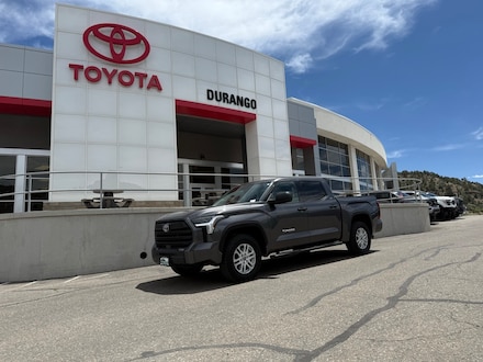 2022 Toyota Tundra SR5 Truck