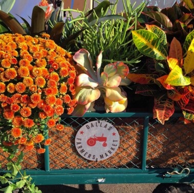 Farmers Market.png