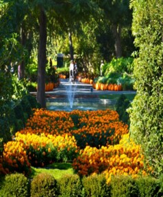 Dallas Arboretum and Botanical Gardens.png