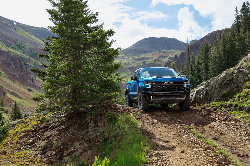 New Chevrolet Silverado 1500 For Sale in Claxton, GA