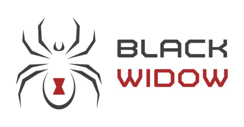 Black Widow Custom Trucks NY