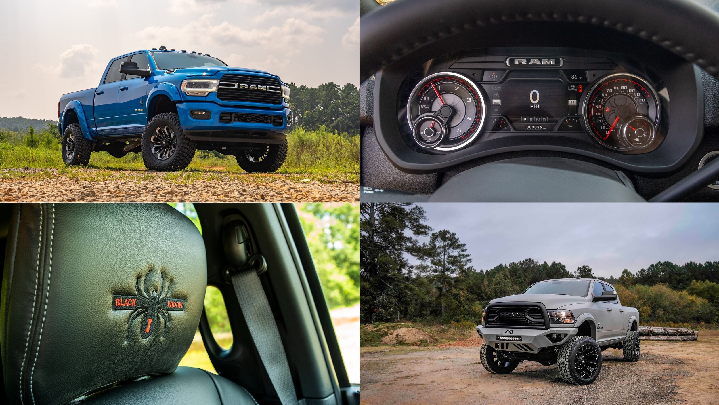 Ram Heavy Duty Black Widow NY