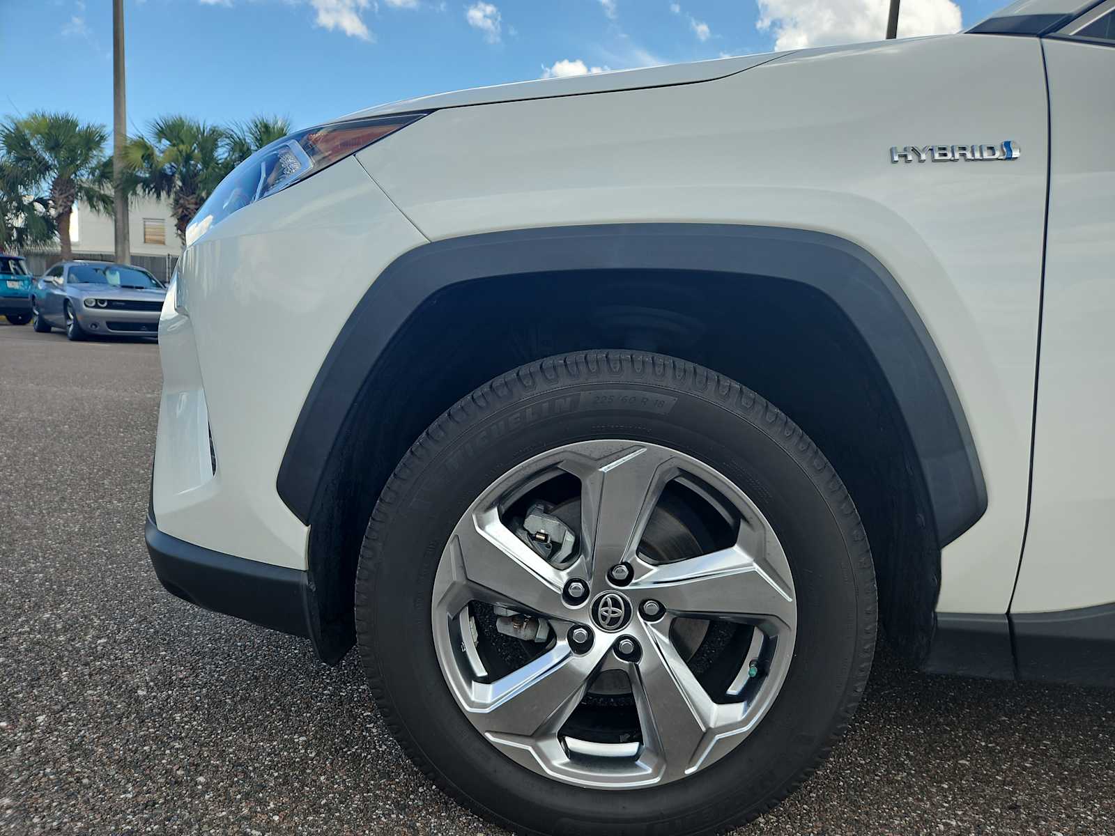 2021 Toyota RAV4 XLE Premium 19