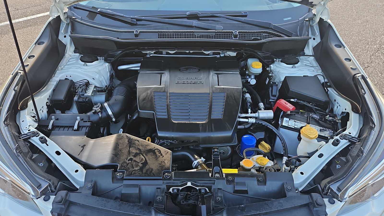 Thumbnail: 2020 Subaru Forester - 18