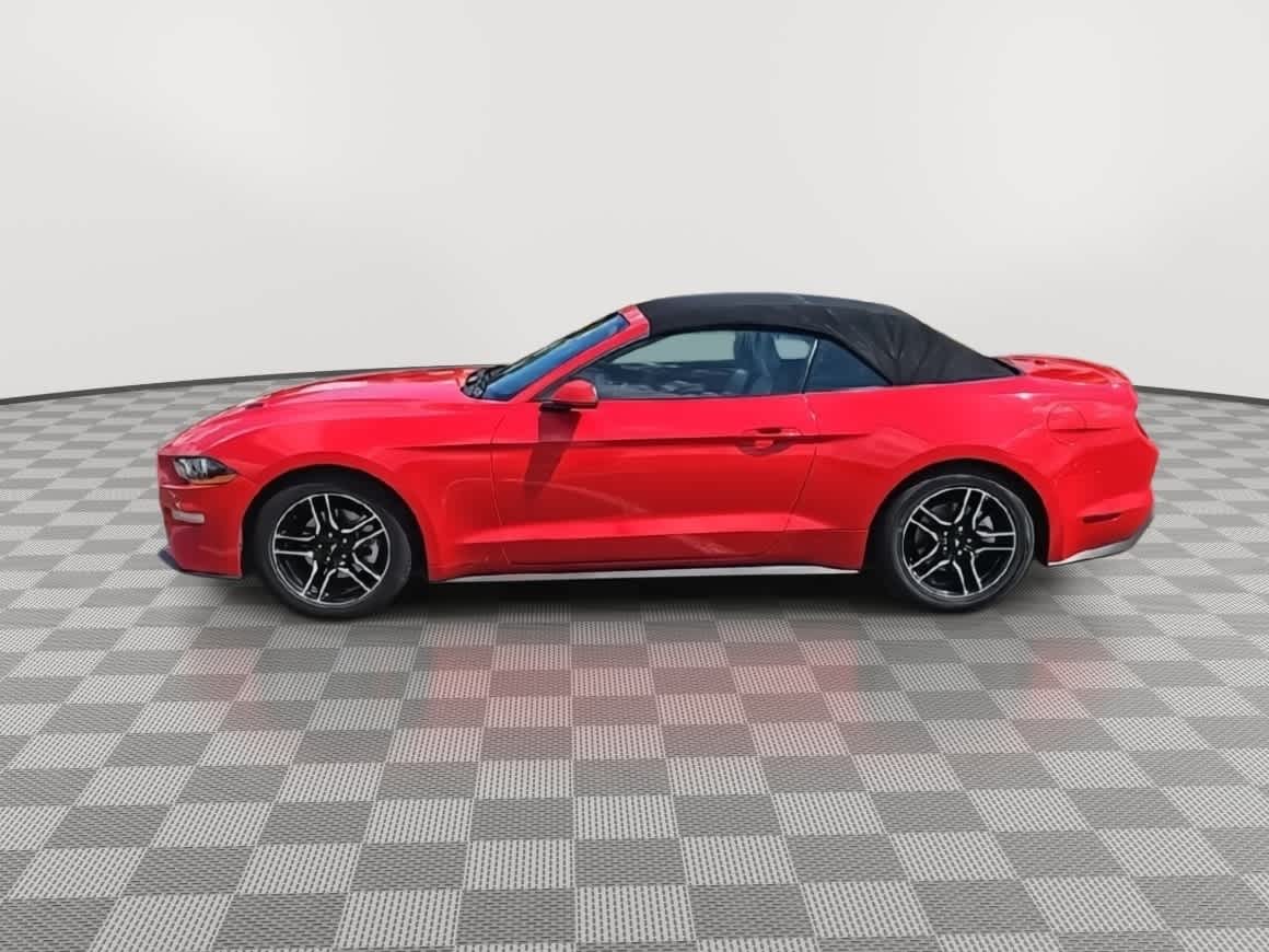Thumbnail: 2022 Ford Mustang - 5