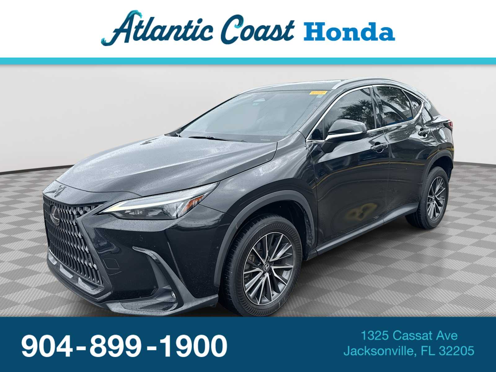 2023 Lexus NX