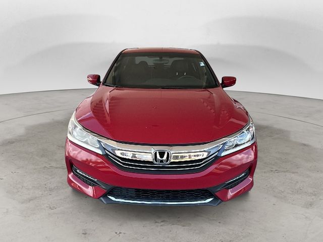 Used 2017 Honda Accord Sport SE with VIN 1HGCR2F18HA177000 for sale in Jacksonville, FL