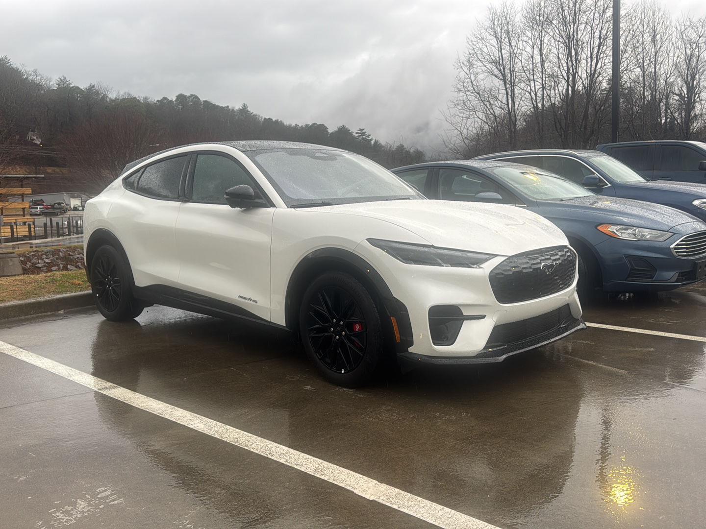 2025 Ford Mustang Mach-E Premium AWD's photo