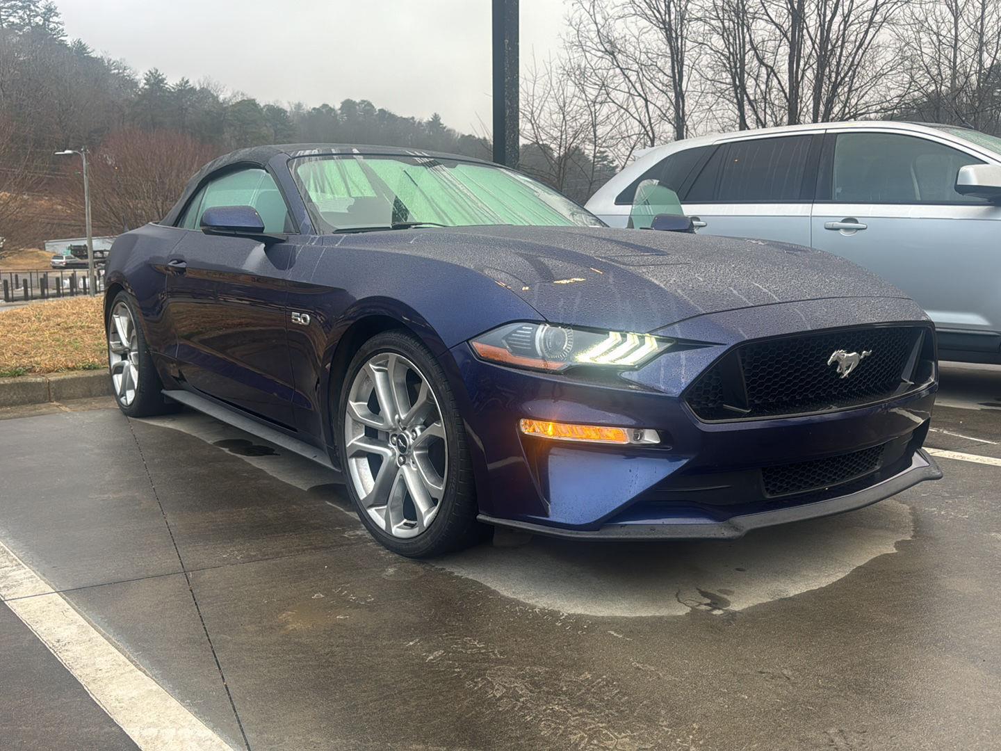 2019 Ford Mustang GT Premium's photo