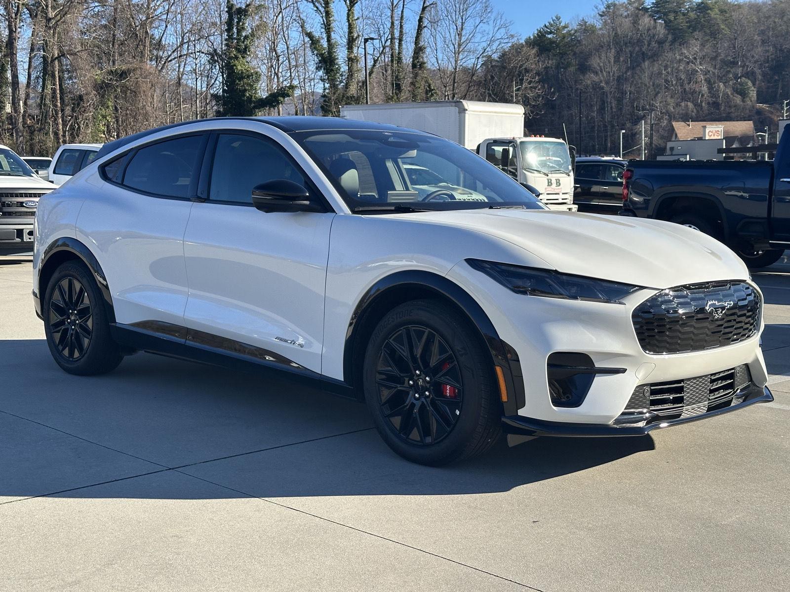 2025 Ford Mustang-Mach-e Premium's photo