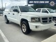  Dodge Dakota